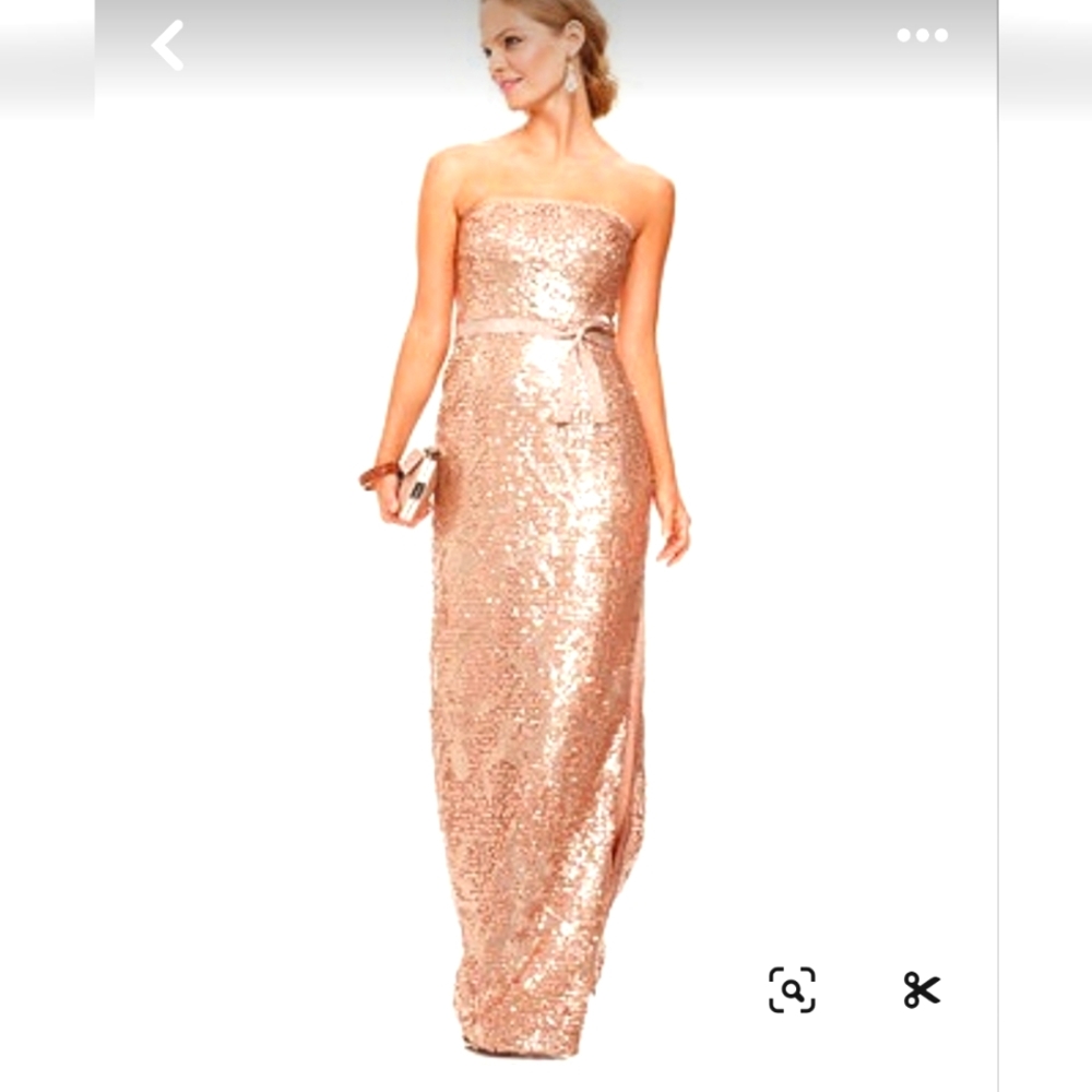 BCBG MAXAZRIA  Champagne sequin gown